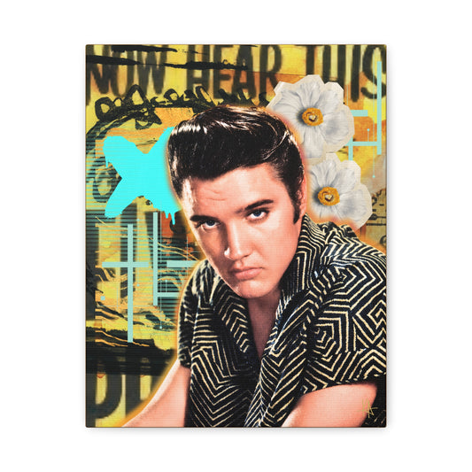 Hi-Fi Hillbilly -Stretched CANVAS Print