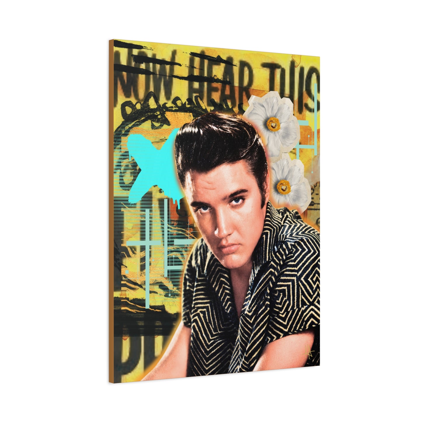 Hi-Fi Hillbilly -Stretched CANVAS Print